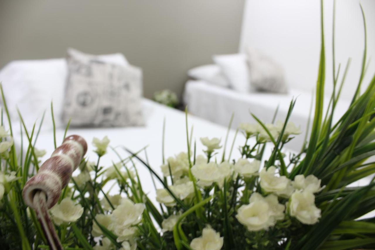 מדיין Hotel Boutique Plaza מראה חיצוני תמונה